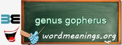 WordMeaning blackboard for genus gopherus